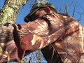 Public Land bowhunt for deer Nov2