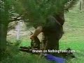 sniper sniper