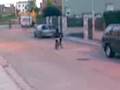 pobre bici (uno d tantos regresos)
