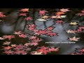 ?16:9?2007 ????(jazz:javier/october sky)?