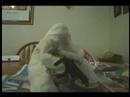 clay fight