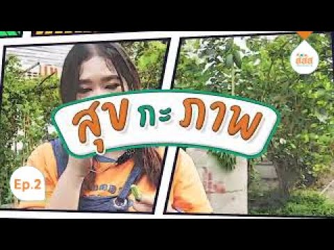 thaihealth สุขกะภาพ Ep.2 Walk in ตลาดตะลักเกี้ยะ (teaser)