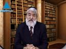 Parasha Vayikra. Le Rav Mordochaï Besoussan nous éclaire