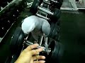 African Grey Goes To Gym 2