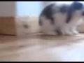 Larry and Rita Argue Over Celery (Starring Larry and Rita)