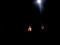 Ani Difranco - Shameless, Central Park