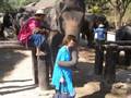 videos de Thailand Tour