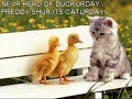 Cute Lolcat Cats - Cuteness at its Extreme! Cute Lolcat Cats - Cuteness at its Extreme!