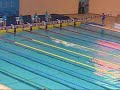 Parapan ouro revezamento 4x100 livre (Nata��o)