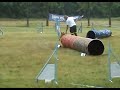 Agility Szolnok 08 - Arna - Djurdja Agility Szolnok 08 - Arna - Djurdja