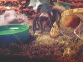 Birdspider Brachypelma vagans dancing with a Cricket