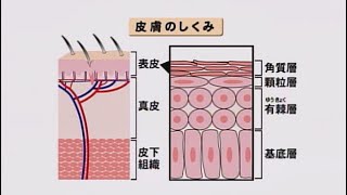 第14回皮膚がん