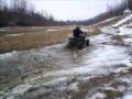 videos de Timberwolf
