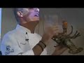 Eric Ripert on Killing Lobsters Humanely