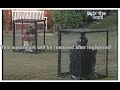 Solange - Iarnuou Solange - Iarnuou