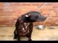 Lennox