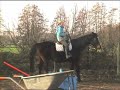 Bridleless riding Bridleless riding