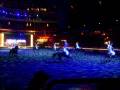 Stockholm International Horse Show
