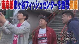 動画のサムネイル