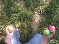 tricks-2-weeks-n-1-wwwgiocoleriaorg-.html