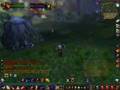 WoW-LVL-39-Warrior-P