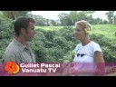 Breathtaking ecotours in Vanuatu
