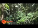 Breathtaking ecotours in Vanuatu