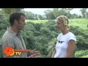 Breathtaking ecotours in Vanuatu