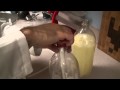 U-FIZZ Drink Carbonation Kit from ThinkGeek