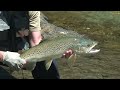Fly Fishing Nelson, NZ - Windy Day Foray