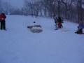 Summers Sledding