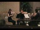 03 - Beethoven Op.18 No.4 - Menuetto