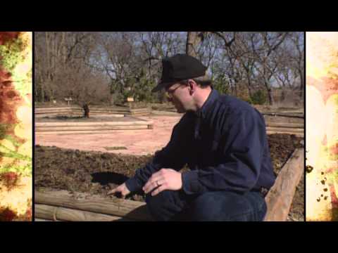 how to treat lumber