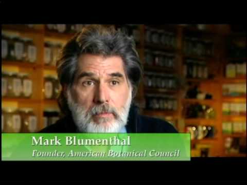 how to harvest slippery elm bark