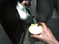 Como hacer un rico cafeee