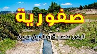 Saffurya | صفورية