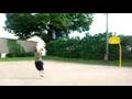 The BasketBall Shoot
