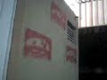 PECKO STENCILS