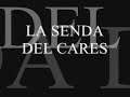 ruta del cares   historia