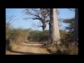 Senegal - Saly - La réserve de Bandia - Hôtel Espadon