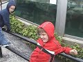 Milwaukee co. ZOO