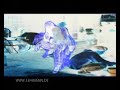 music video - electro / chillout - mikrolux / elektroluxtaken from the CD 