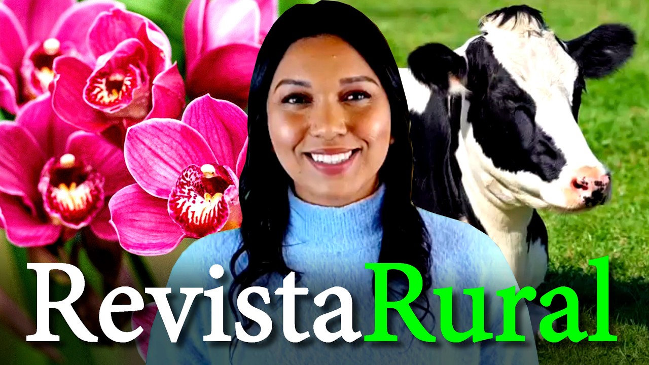 PROGRAMA REVISTA RURAL - 07/06/2026