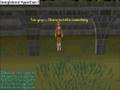 runescape is for nerds!