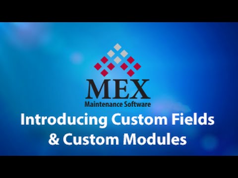 Introducing Custom Fields and Custom Modules image
