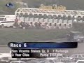 archer city slew (slew city slew x i'm yours joe, miswaki) defeated joopy doopy, gibson county, malabar gold.

archer city slew standing at pegasus farm in south korea. 

- video courtesy of pegasus farm.
http://www.pegasustc.com/main/