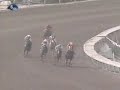 archer city slew (slew city slew x i'm yours joe, miswaki) defeated joopy doopy, gibson county, malabar gold.

archer city slew standing at pegasus farm in south korea. 

- video courtesy of pegasus farm.
http://www.pegasustc.com/main/