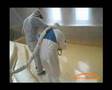 Polyurea_Floor_Coating_Part3