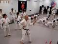 videos de FAMILY KARATE CLASS 8-08