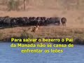 LIDERAN�A EM EQUIPE